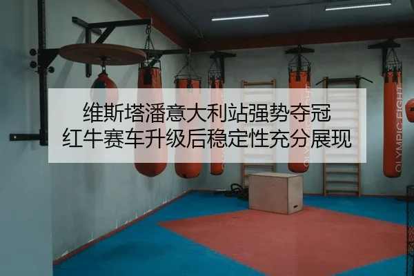 wei-si-ta-pan-yi-da-li-zhan-qiang-shi-duo-guan-hong-niu-sai-che-sheng-ji-hou-wen-ding-xing-chong-fen-zhan-xian-2-784.jpg